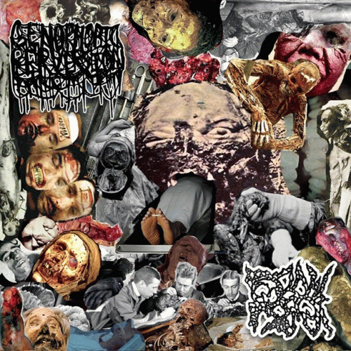 Flax (UK) : Flax - Genophobic Perversion